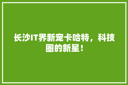 长沙IT界新宠卡哈特，科技圈的新星！