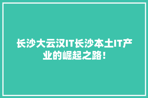 长沙大云汉IT长沙本土IT产业的崛起之路！ 前端技术