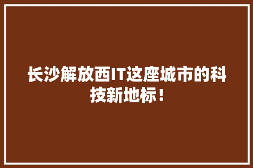 长沙解放西IT这座城市的科技新地标！