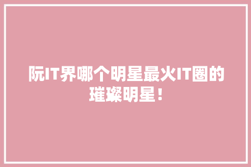 阮IT界哪个明星最火IT圈的璀璨明星！