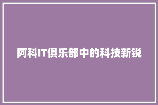 阿科IT俱乐部中的科技新锐