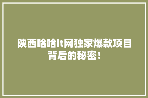 陕西哈哈it网独家爆款项目背后的秘密！ 商务信函