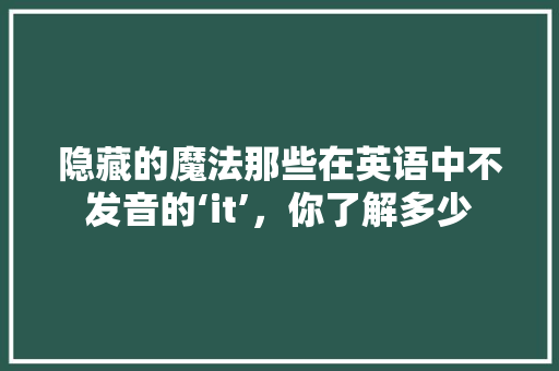 隐藏的魔法那些在英语中不发音的‘it’，你了解多少 后端技术
