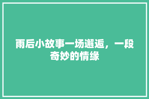 雨后小故事一场邂逅，一段奇妙的情缘