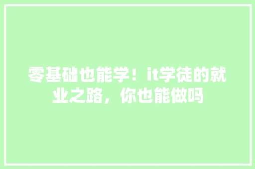零基础也能学！it学徒的就业之路，你也能做吗