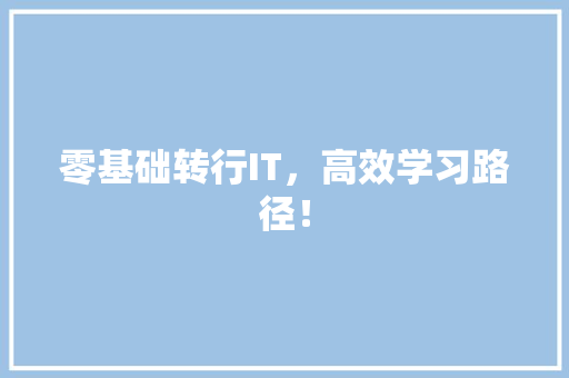 零基础转行IT，高效学习路径！ 项目报告