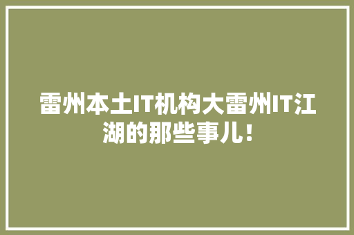 雷州本土IT机构大雷州IT江湖的那些事儿！