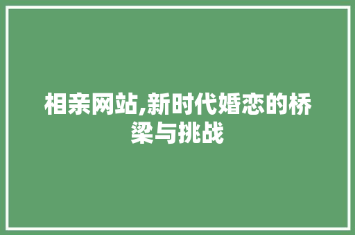 相亲网站,新时代婚恋的桥梁与挑战 后端技术