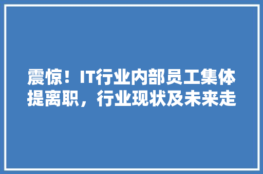 震惊！IT行业内部员工集体提离职，行业现状及未来走向 响应式设计
