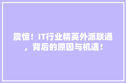 震惊！IT行业精英外派联通，背后的原因与机遇！