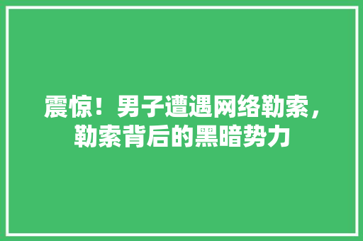 震惊！男子遭遇网络勒索，勒索背后的黑暗势力