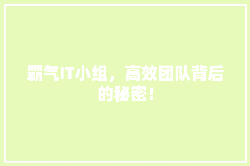 霸气IT小组，高效团队背后的秘密！