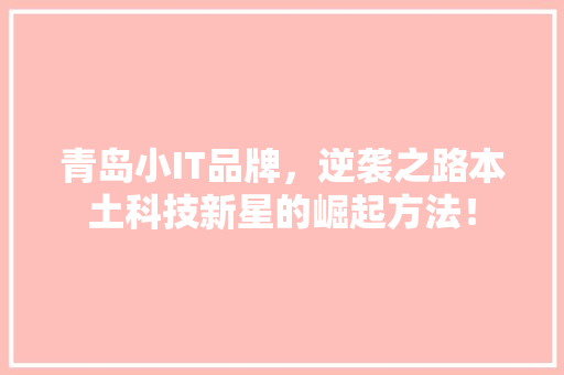 青岛小IT品牌，逆袭之路本土科技新星的崛起方法！