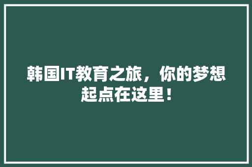 韩国IT教育之旅，你的梦想起点在这里！