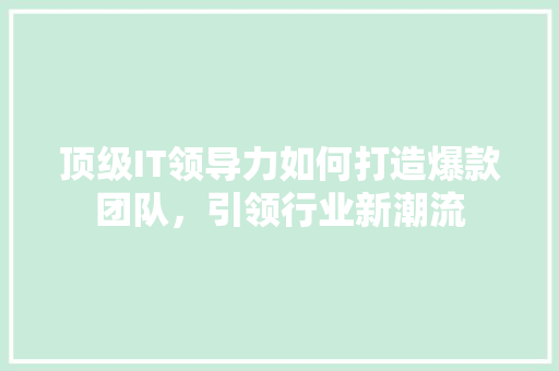 顶级IT领导力如何打造爆款团队，引领行业新潮流 MySQL
