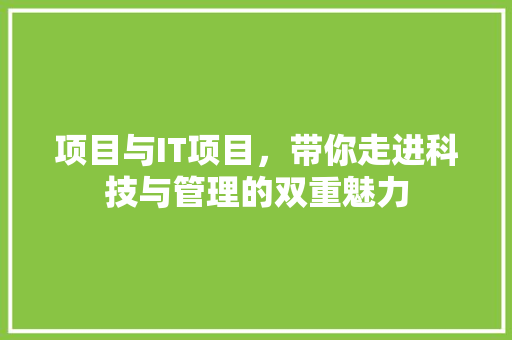项目与IT项目，带你走进科技与管理的双重魅力