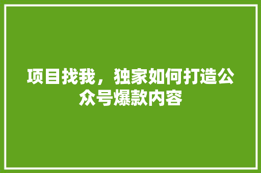 项目找我，独家如何打造公众号爆款内容 后端技术