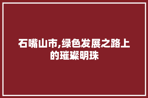 石嘴山市,绿色发展之路上的璀璨明珠