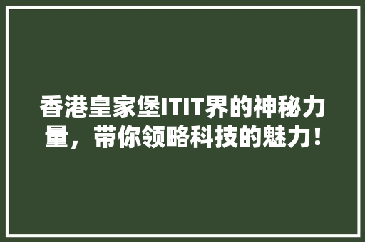 香港皇家堡ITIT界的神秘力量，带你领略科技的魅力！