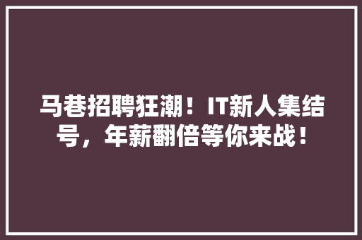 马巷招聘狂潮！IT新人集结号，年薪翻倍等你来战！