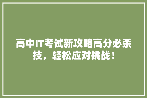 高中IT考试新攻略高分必杀技，轻松应对挑战！