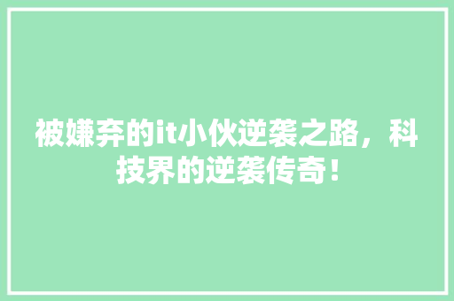 被嫌弃的it小伙逆袭之路，科技界的逆袭传奇！