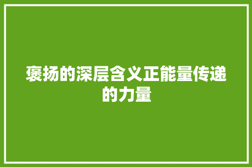 褒扬的深层含义正能量传递的力量