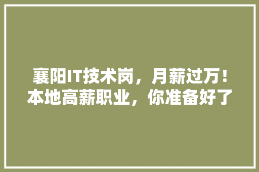 襄阳IT技术岗，月薪过万！本地高薪职业，你准备好了吗