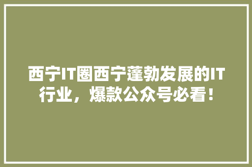 西宁IT圈西宁蓬勃发展的IT行业，爆款公众号必看！