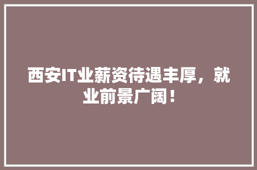西安IT业薪资待遇丰厚，就业前景广阔！