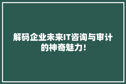 解码企业未来IT咨询与审计的神奇魅力！ 市场营销范文