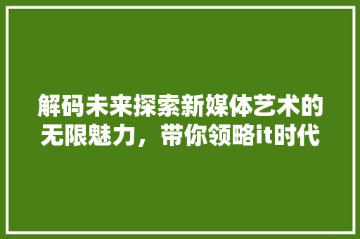 解码未来探索新媒体艺术的无限魅力，带你领略it时代艺术新潮流！