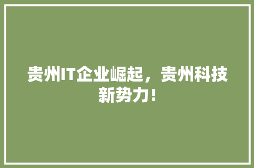 贵州IT企业崛起，贵州科技新势力！