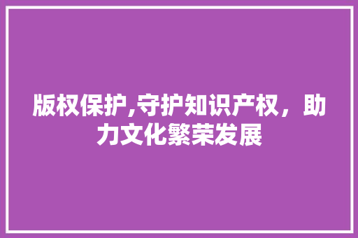 版权保护,守护知识产权，助力文化繁荣发展