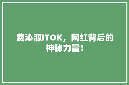 费沁源ITOK，网红背后的神秘力量！