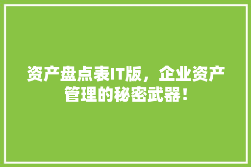 资产盘点表IT版，企业资产管理的秘密武器！