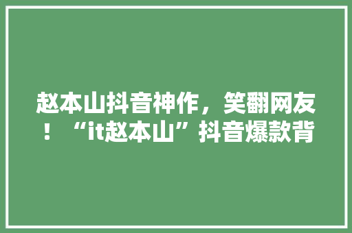 赵本山抖音神作，笑翻网友！“it赵本山”抖音爆款背后的故事
