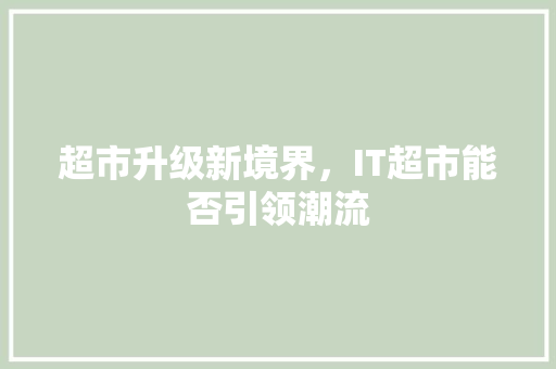 超市升级新境界，IT超市能否引领潮流 前端技术