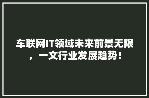 车联网IT领域未来前景无限，一文行业发展趋势！ MySQL