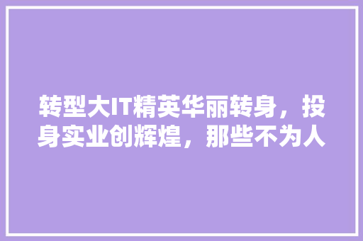 转型大IT精英华丽转身，投身实业创辉煌，那些不为人知的幕后故事！