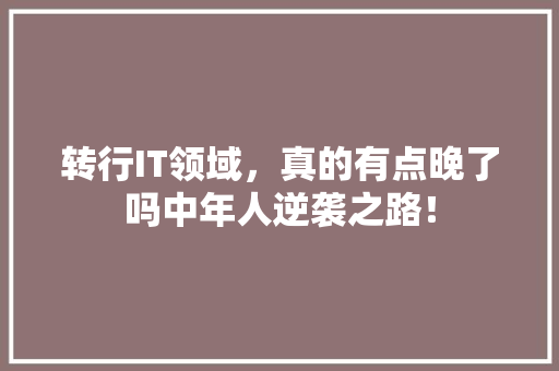 转行IT领域，真的有点晚了吗中年人逆袭之路！