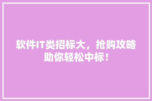软件IT类招标大，抢购攻略助你轻松中标！