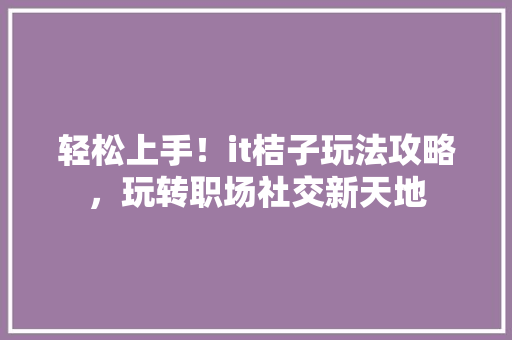 轻松上手！it桔子玩法攻略，玩转职场社交新天地 项目报告
