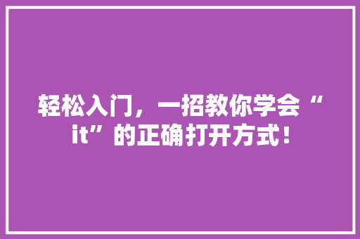 轻松入门，一招教你学会“it”的正确打开方式！