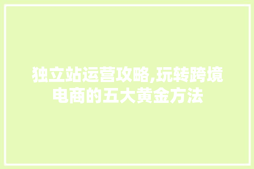 独立站运营攻略,玩转跨境电商的五大黄金方法 网站建设