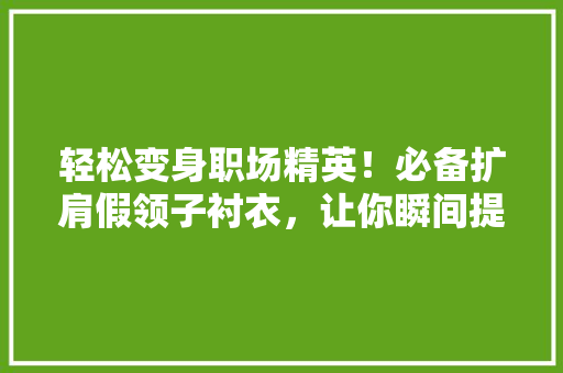 轻松变身职场精英！必备扩肩假领子衬衣，让你瞬间提升气质！
