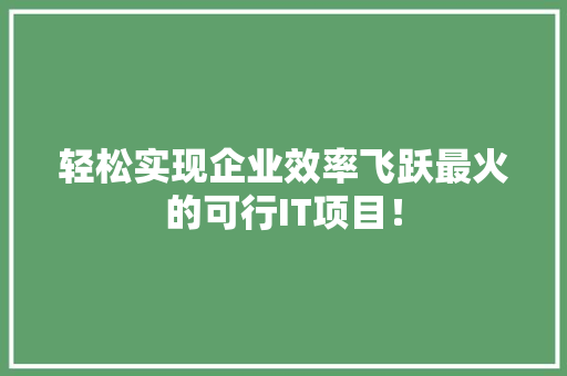 轻松实现企业效率飞跃最火的可行IT项目！ 缓存Redis