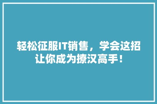 轻松征服IT销售，学会这招让你成为撩汉高手！ 市场营销范文