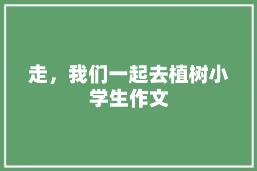 轻松掌握！It用法翻译题，让你的英语水平up up！