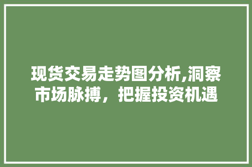 现货交易走势图分析,洞察市场脉搏，把握投资机遇